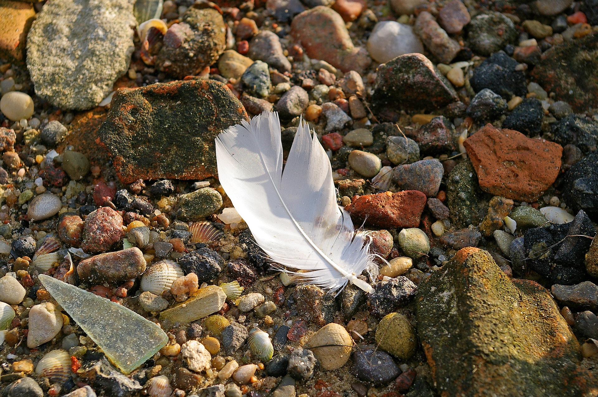 Feather and Stones poems